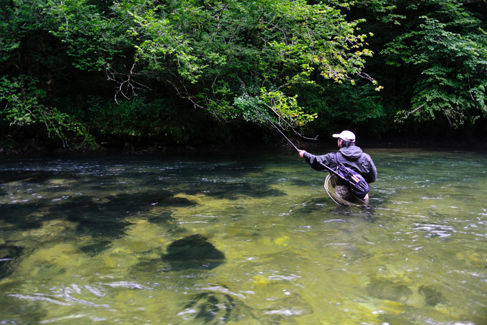 Sharplace Ligne de pêche Tenkara, Ligne à Mouche, Accessoires de pêche à la Mouche, Ligne Conique Tenkara, Ligne enroulée tressée pour l'extérieur, pêche en, Jaune 9FT Sharplace Ligne de pêche Tenkara, Ligne à Mouche, Accessoires de pêche à la Mouche, Ligne Conique Tenkara, Ligne enroulée tressée pour l'extérieur, pêche en, Jaune 9FT